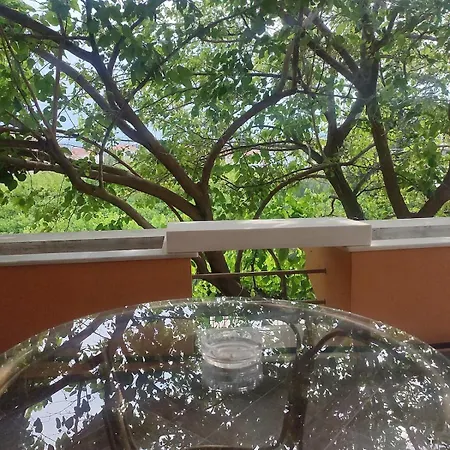 το σπίτι της ραπτομηχανής Apartment